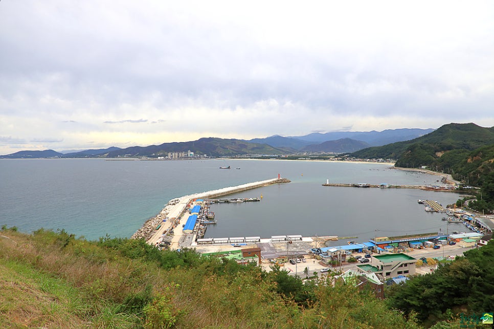 금진여행사 이미지