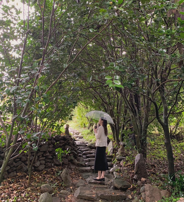 명다원 이미지