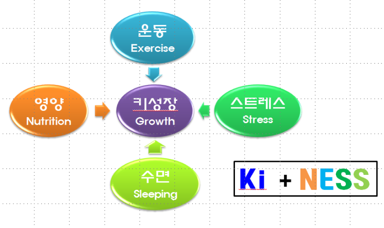 키네코어 이미지