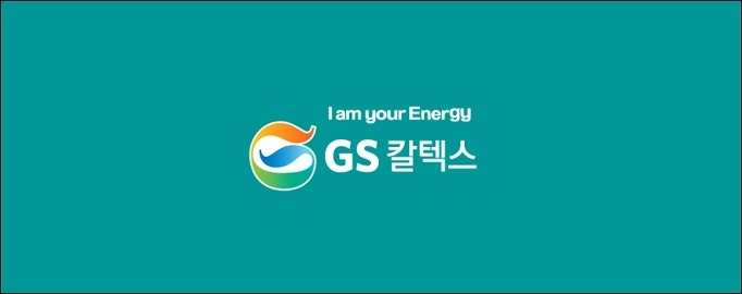 금성엘리베이터(주) 이미지