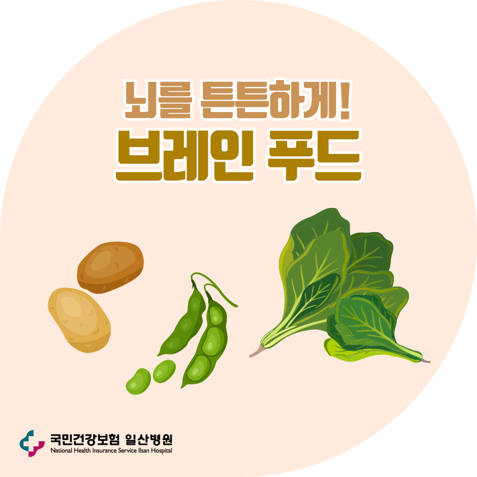 브레인짐 이미지