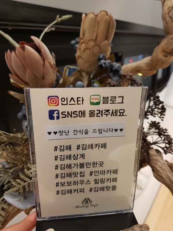 힐링보보하우스 이미지