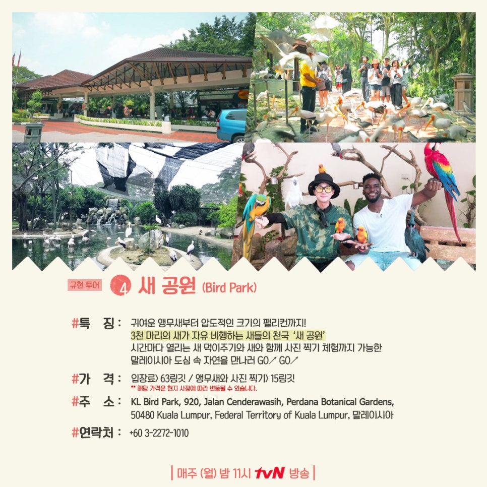 더투어 이미지
