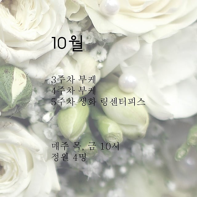 플로라블러썸 이미지