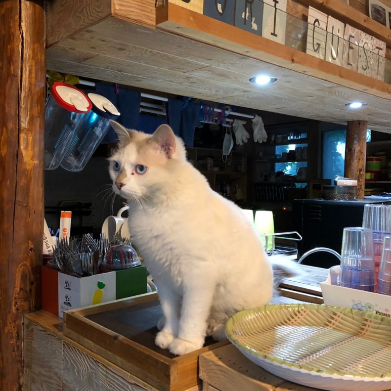 보리책방 이미지