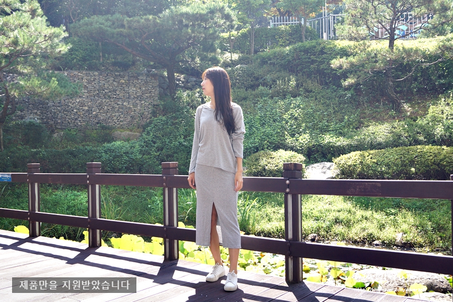 플라잉켈리 이미지