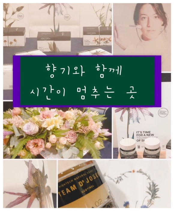 스킨존 이미지