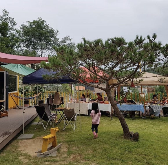(주)샤인위드컴페니언 이미지