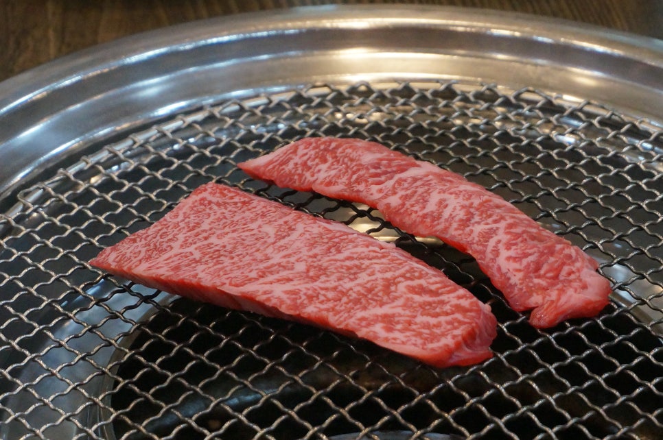 동가래 이미지
