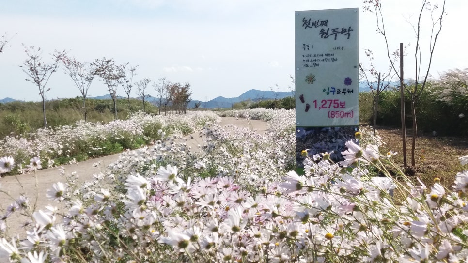 은빛수산 이미지