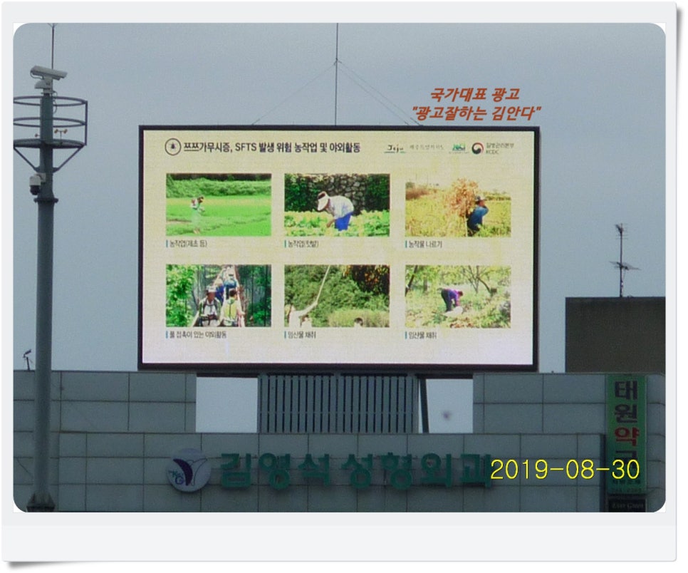 김영석성형외과 이미지