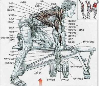 (주)덤벨이 이미지