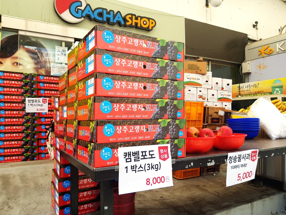 월드농산 이미지