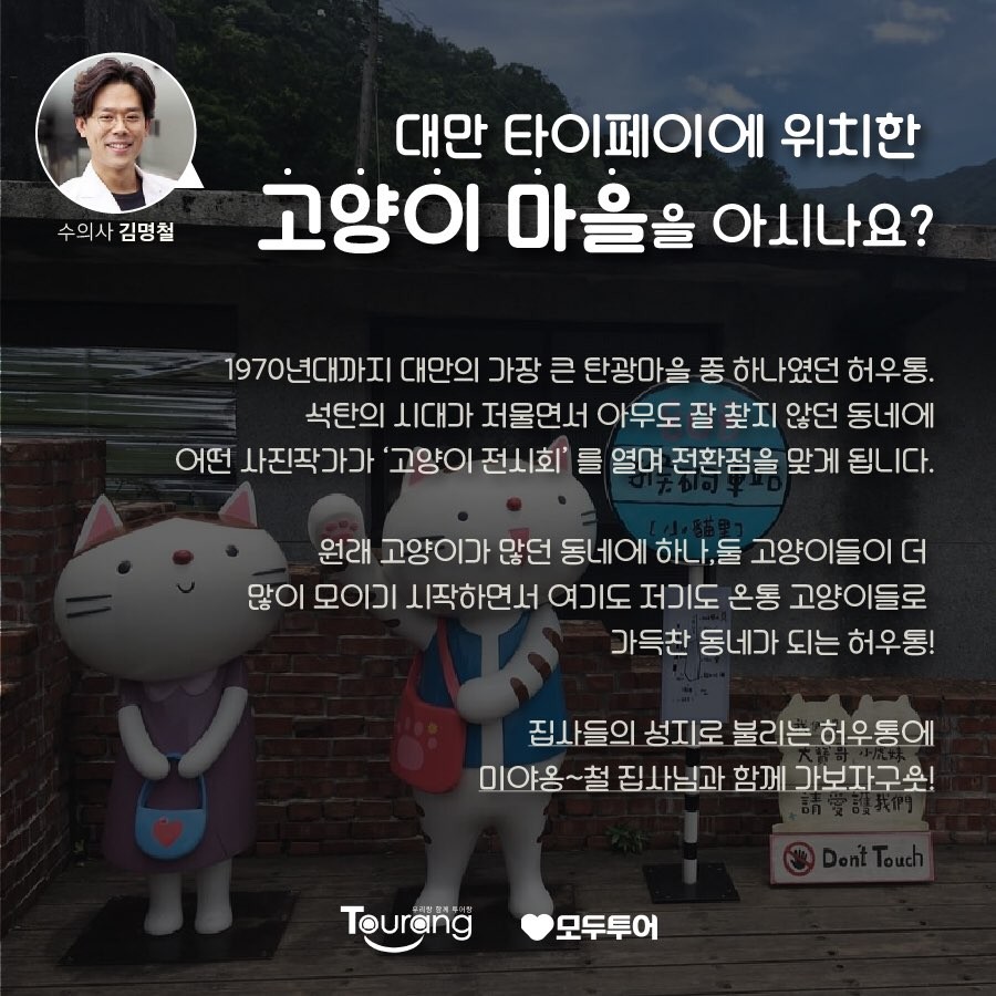 고양이투어 이미지