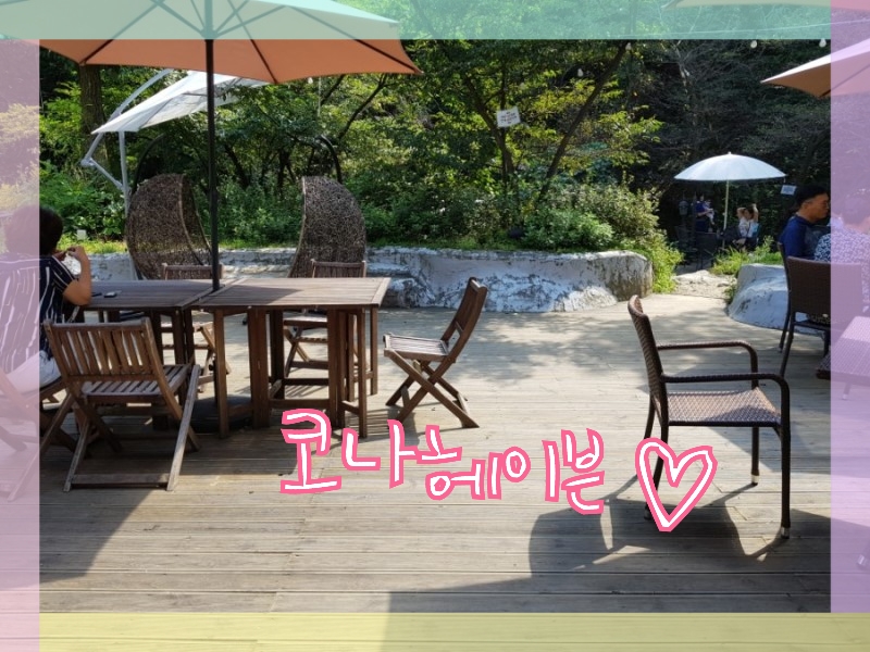 코나헤이븐 이미지
