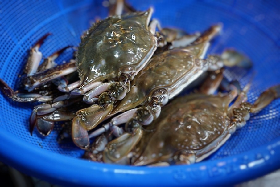 유정상회 이미지