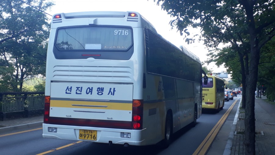 대우여행사 이미지