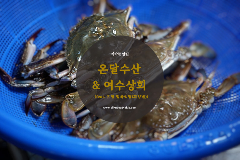 유정상회 이미지
