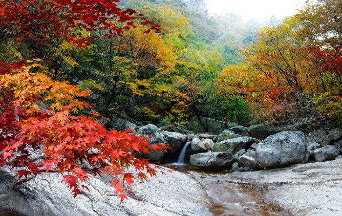 참좋은세탁 이미지
