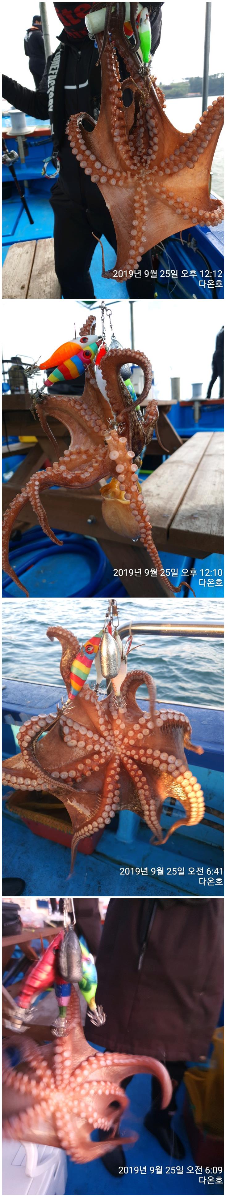 갈도풍력 이미지