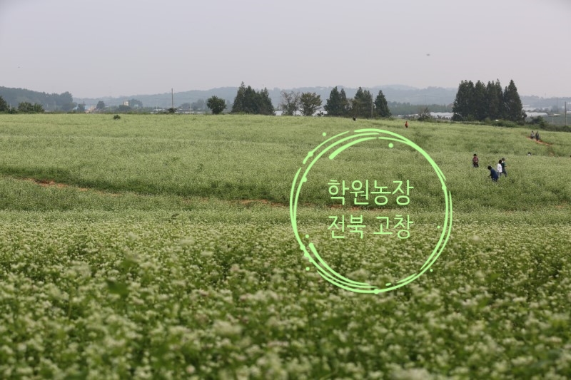 농업회사법인 넓은들주식회사 이미지