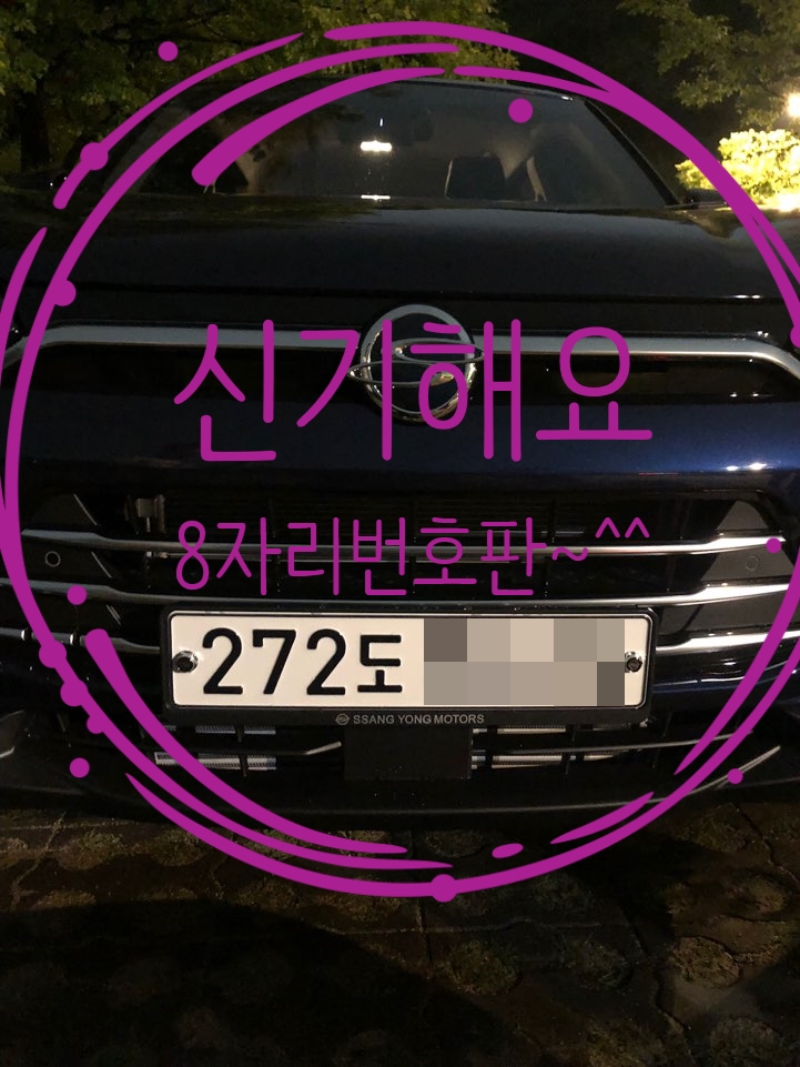 더블유게러지 이미지