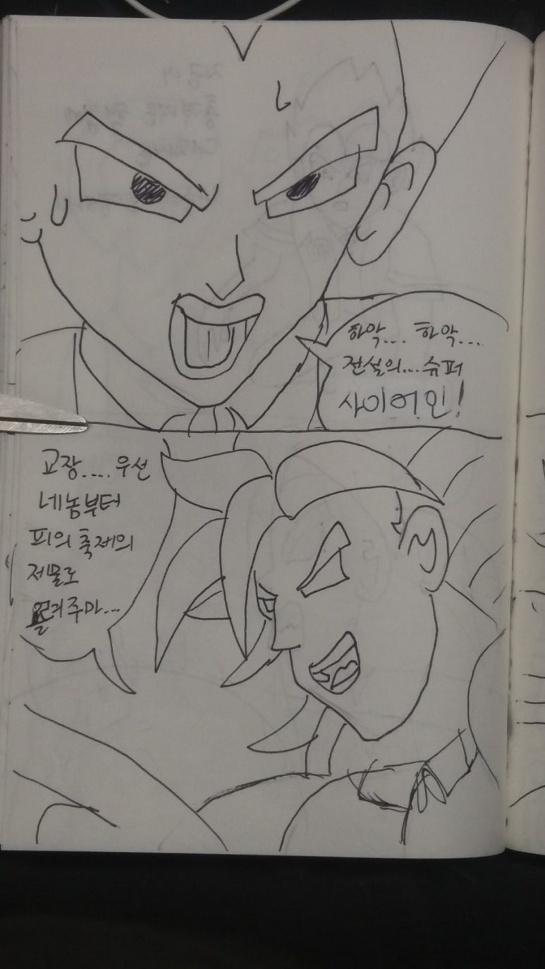 타이요 이미지