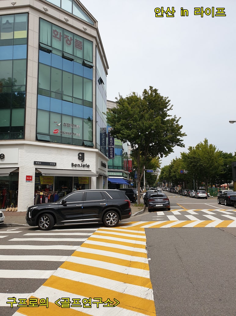 벤제프안산 이미지