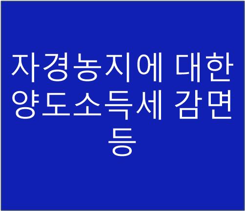 이하영세무회계사무소 이미지