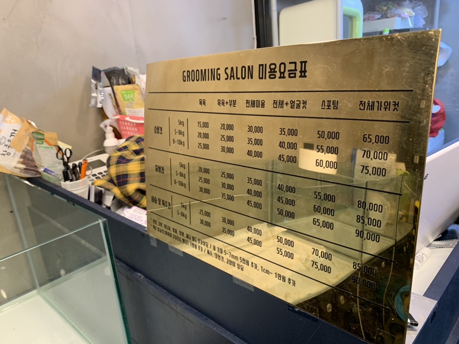 살롱드린다 이미지