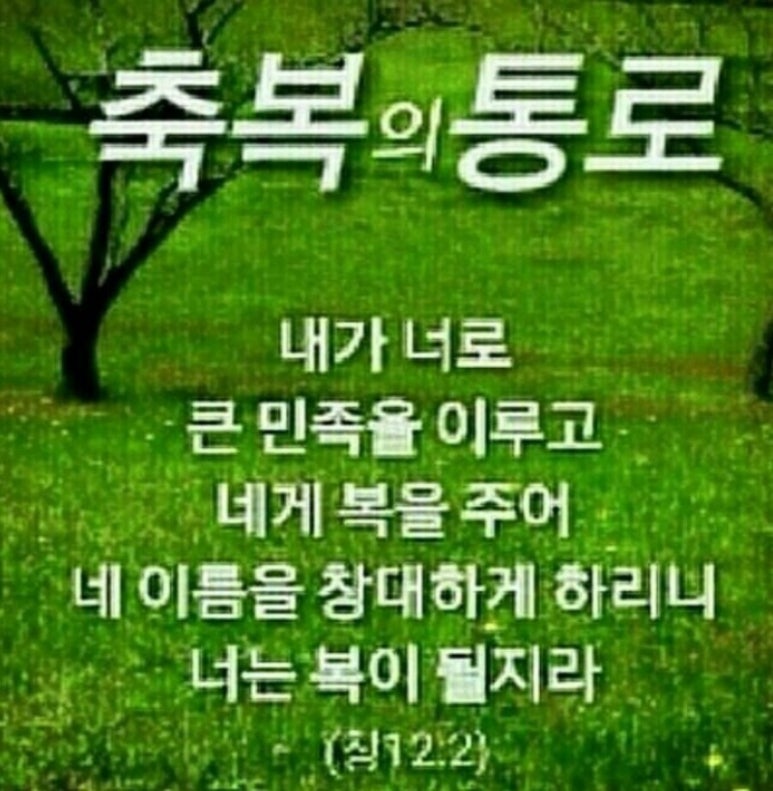 축복의통로 이미지