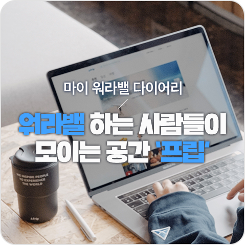 마이하비 이미지