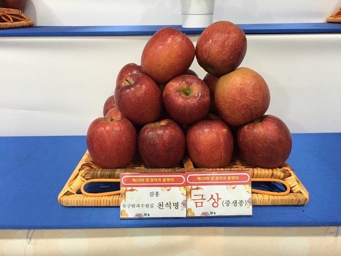 동구밖과수원길 이미지