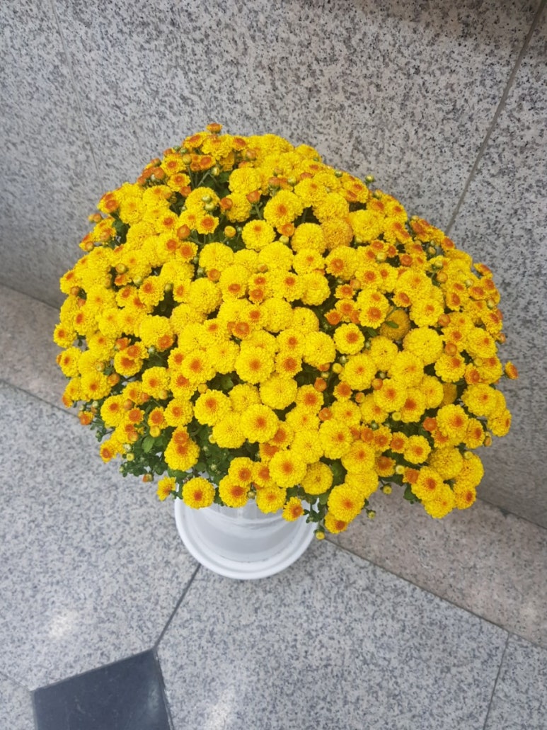 파리바게뜨 경산옥곡점 이미지