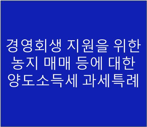 이하영세무회계사무소 이미지