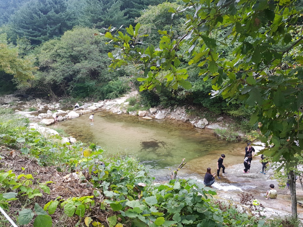 각흘계곡캠핑장 이미지