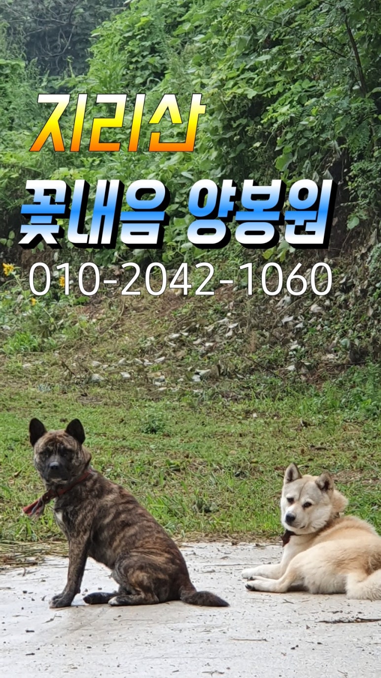 지리산양봉원 이미지