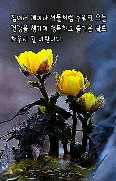 스피드112 이미지