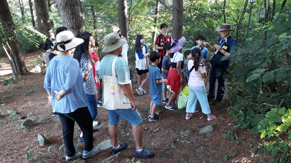 국립청태산자연휴양림 이미지