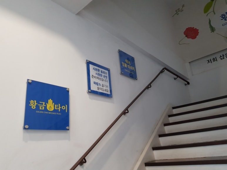 황금손타이 이미지
