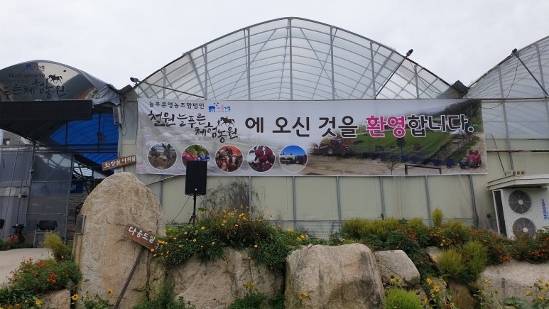 늘푸른농원 이미지