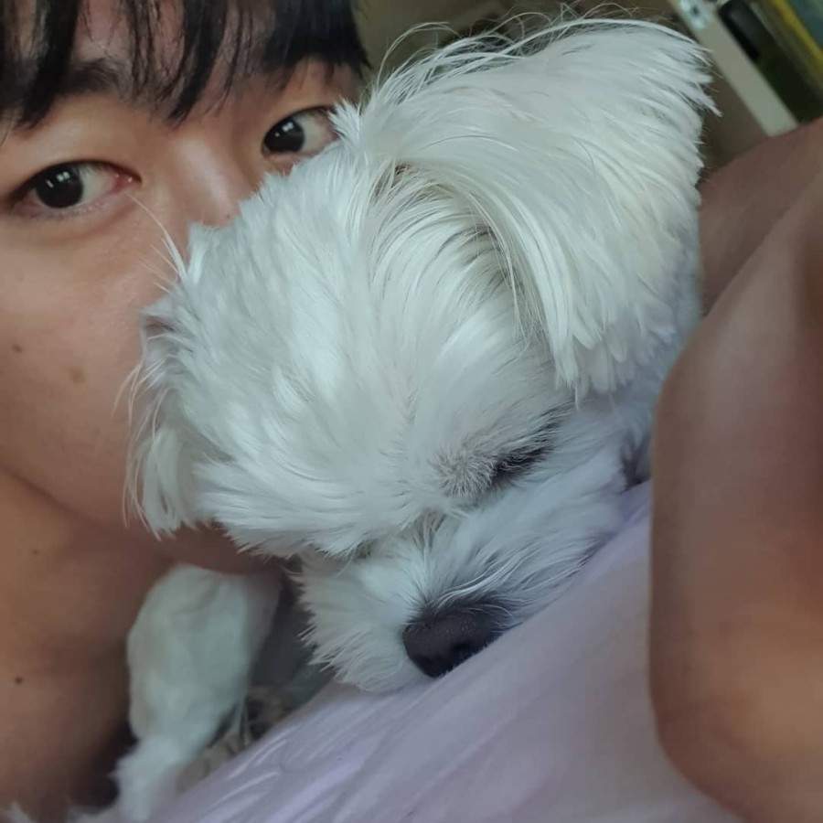 빵댕이 이미지