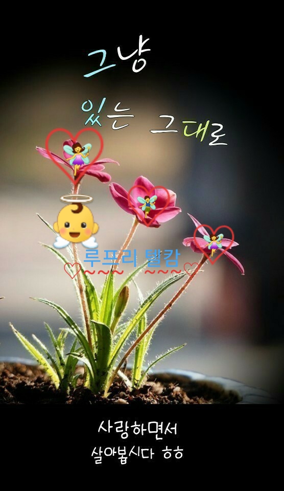 사차원 이미지