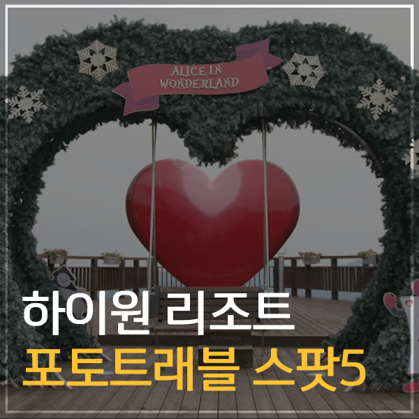 하이원트래블 이미지