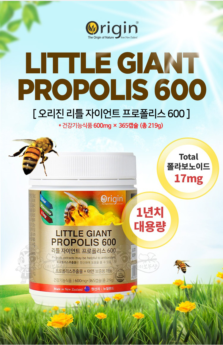 자이언트상사 이미지