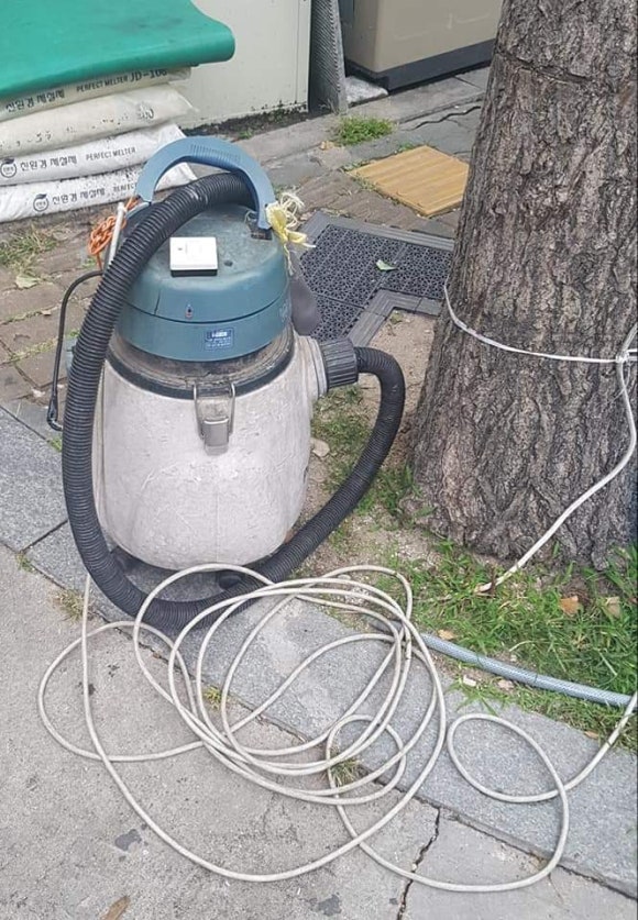 세차하는사람들 이미지