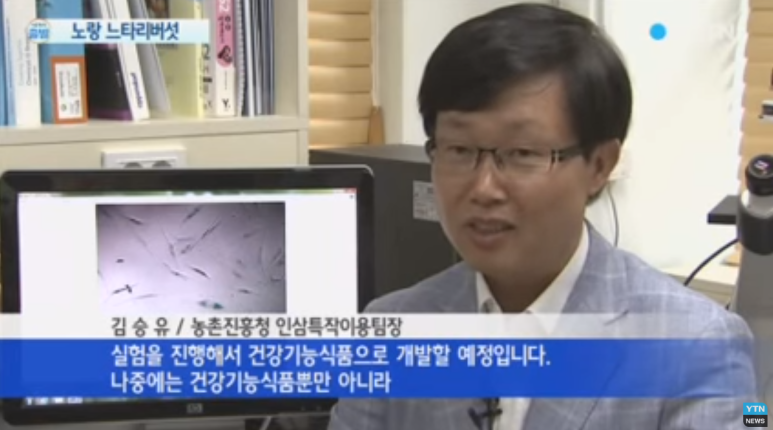 노랑식품 이미지