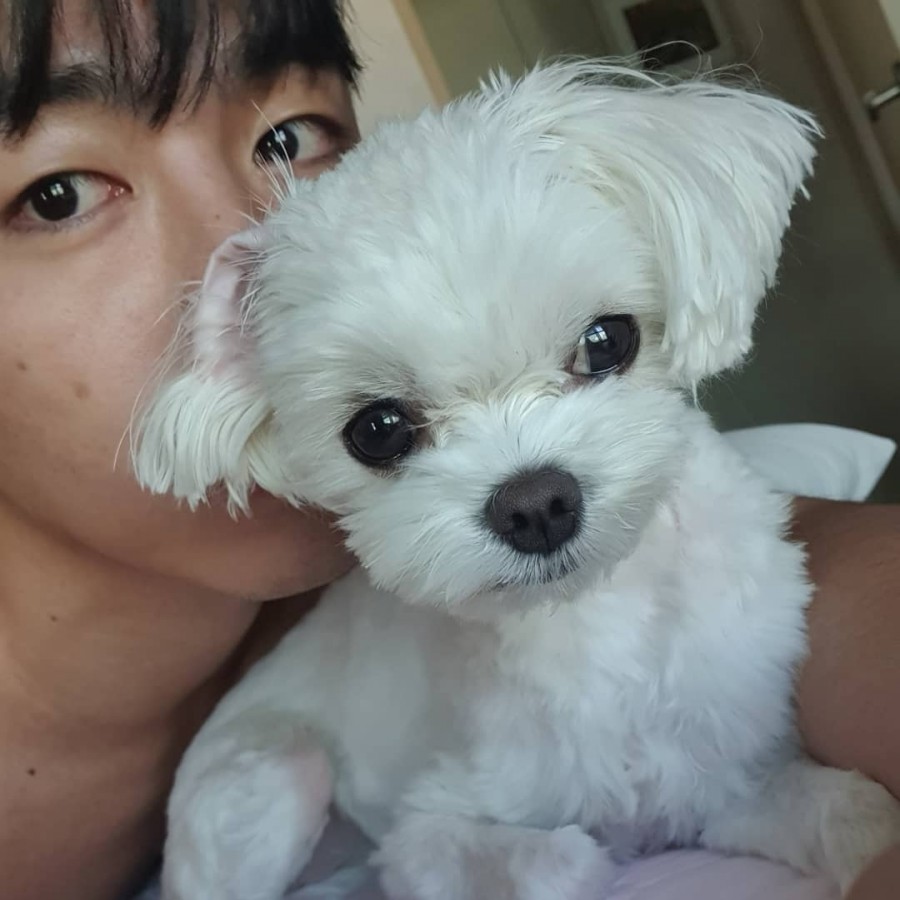 빵댕이 이미지