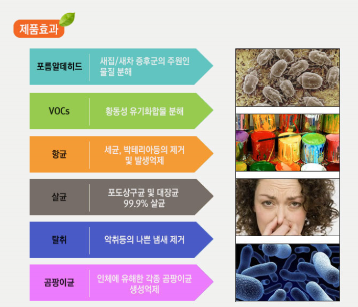수스팀세차 이미지
