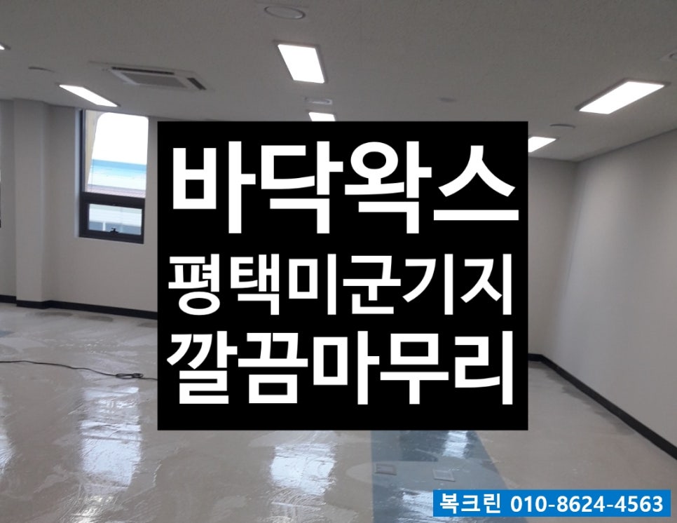 복크린 이미지